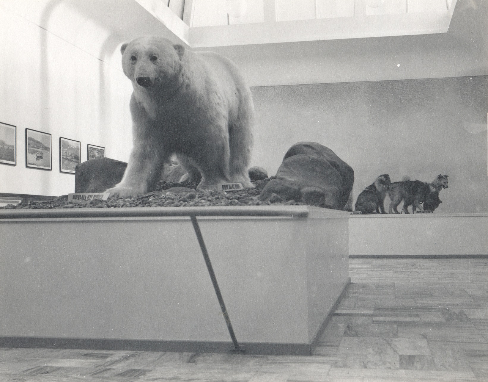 Der Staat gibt dem Museum Salling gute Noten